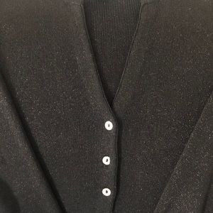 Joseph A. 2 piece sweater set-silk metallic blend